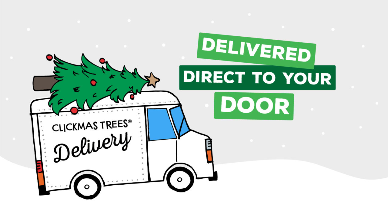 Online Christmas Trees & Delivery - Clickmas Trees